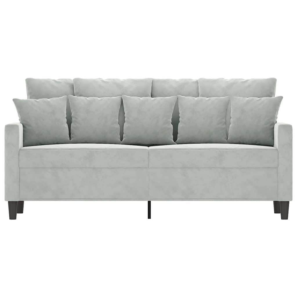 Light Gray Velvet 2-Seater Sofa with Metal Frame Y699693