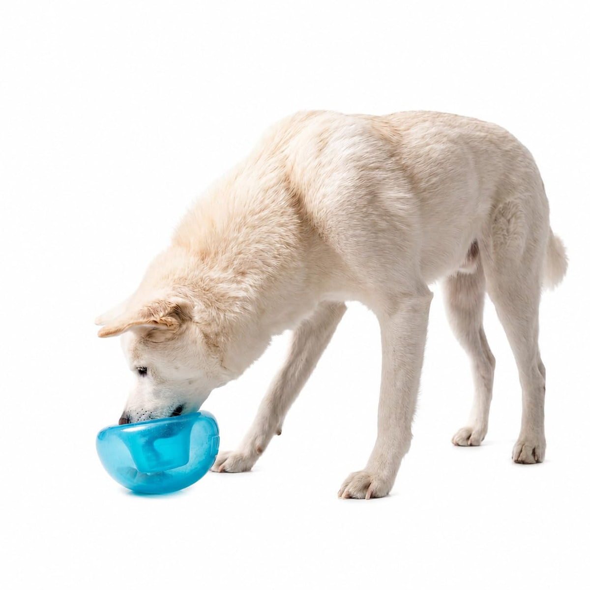 Blue Interactive Treat Dispensing Dog Toy C40375