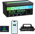 48V 100Ah Lithium Golf Cart Battery with Charger M57944