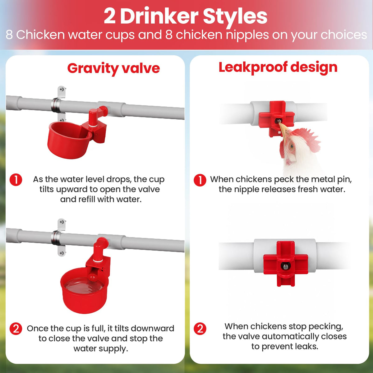 Automatic Chicken Waterer System with 8 Drinking Cups L65993
