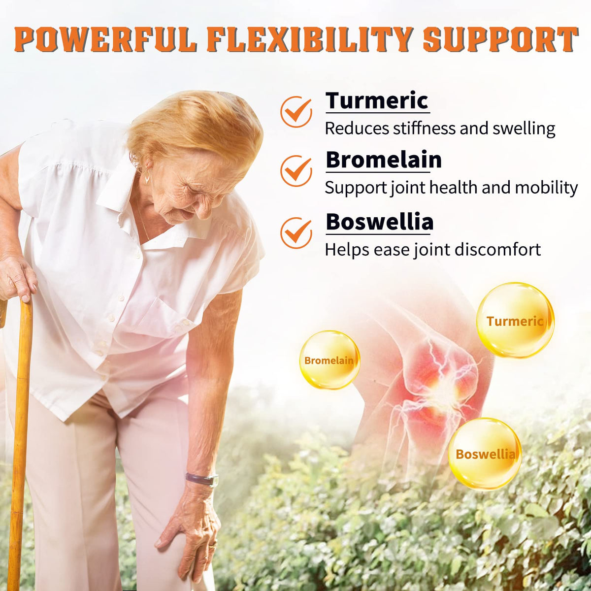 Probiotics with Glucosamine Chondroitin MSM Joint Support Supplement J998421
