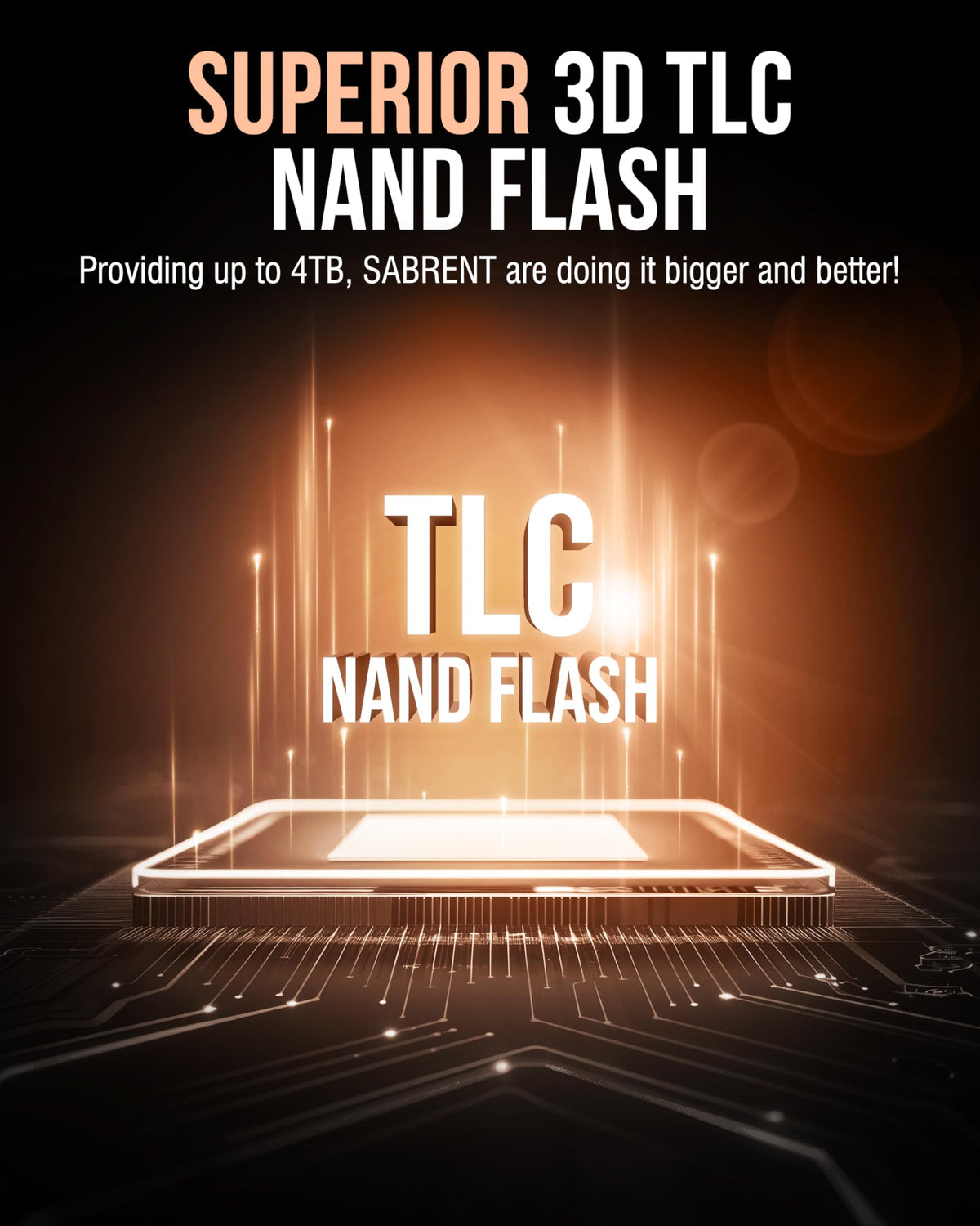 4TB NVMe SSD PCIe 4.0 M.2 C479