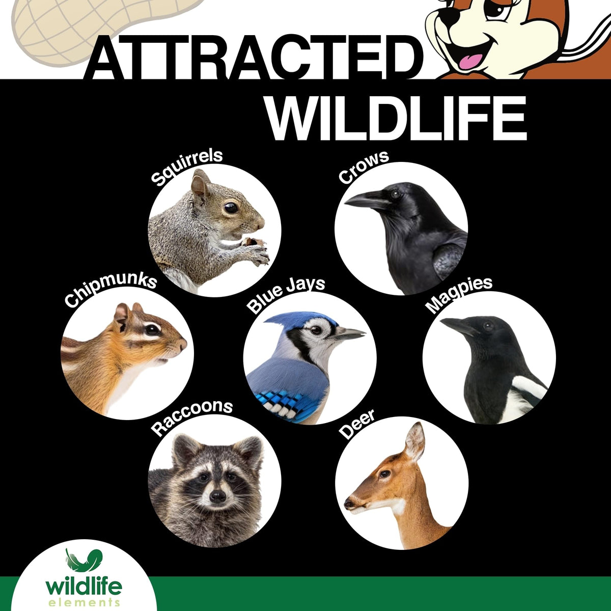 Raw In-Shell Peanuts Wildlife Food 25lb P99097