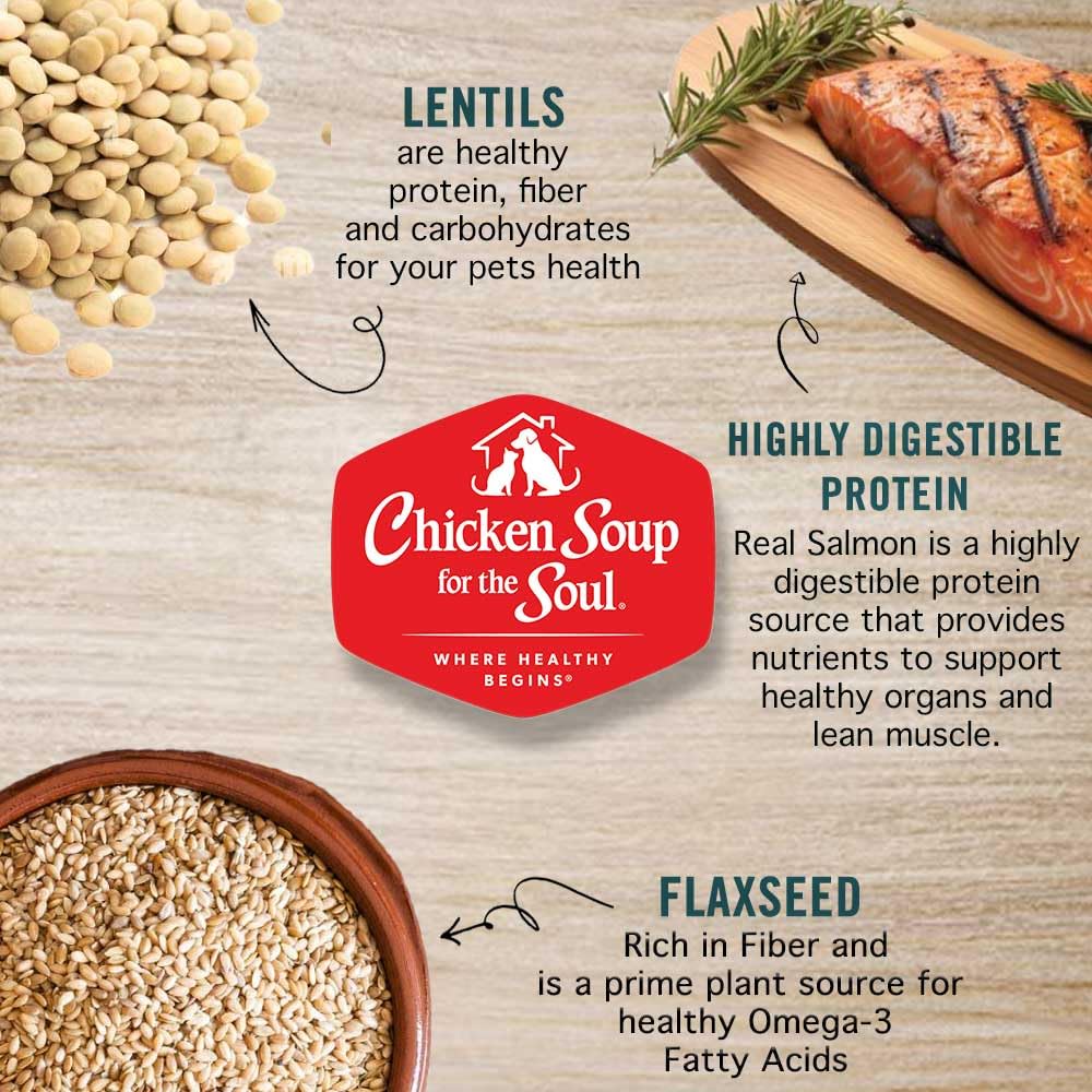 All Natural Grain-Free Dry Cat Food Salmon & Legumes 4lb T5253