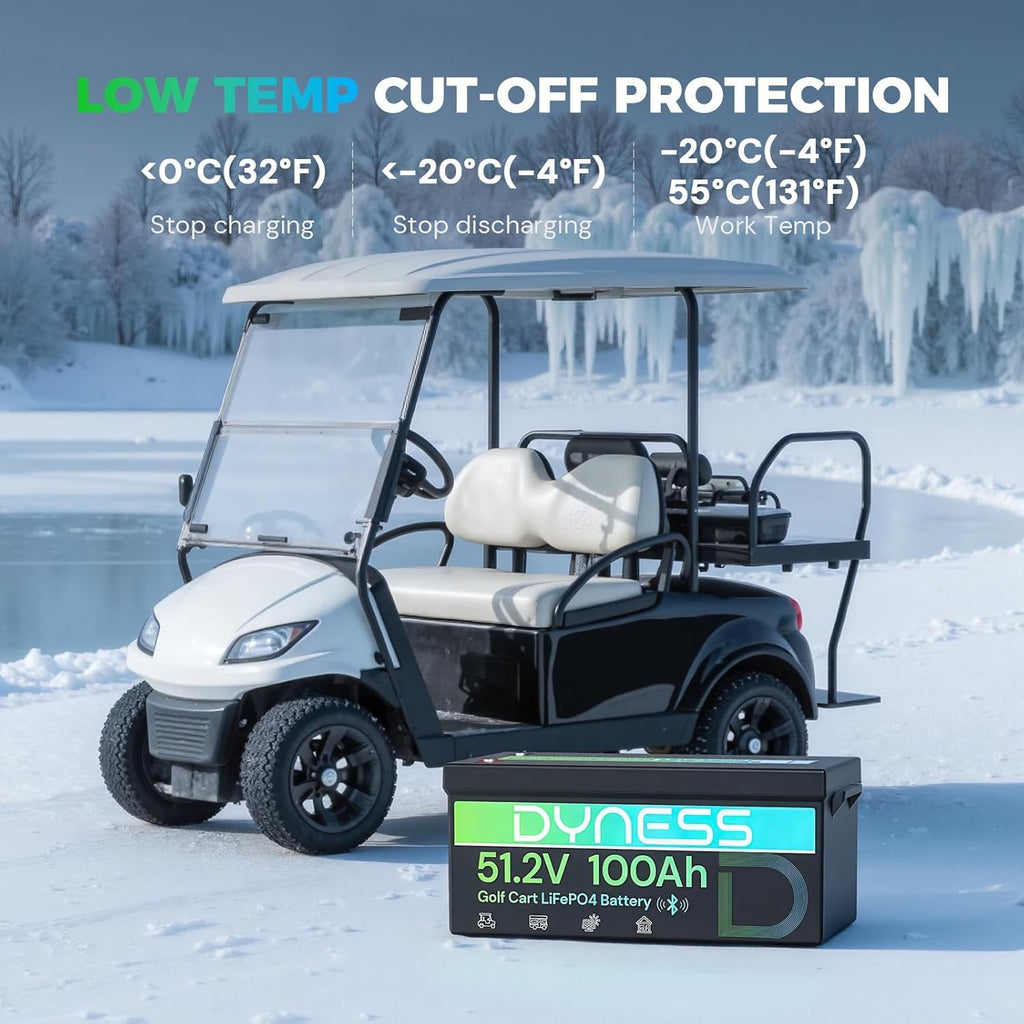 48V 100Ah Lithium Golf Cart Battery with Charger M57944