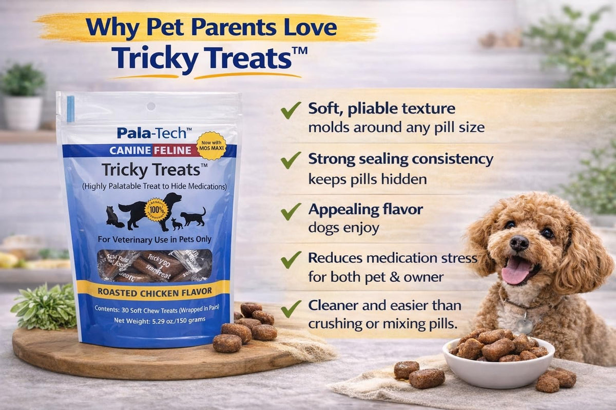 Roasted Chicken Flavor Soft Dog Treats 5.29 oz U410