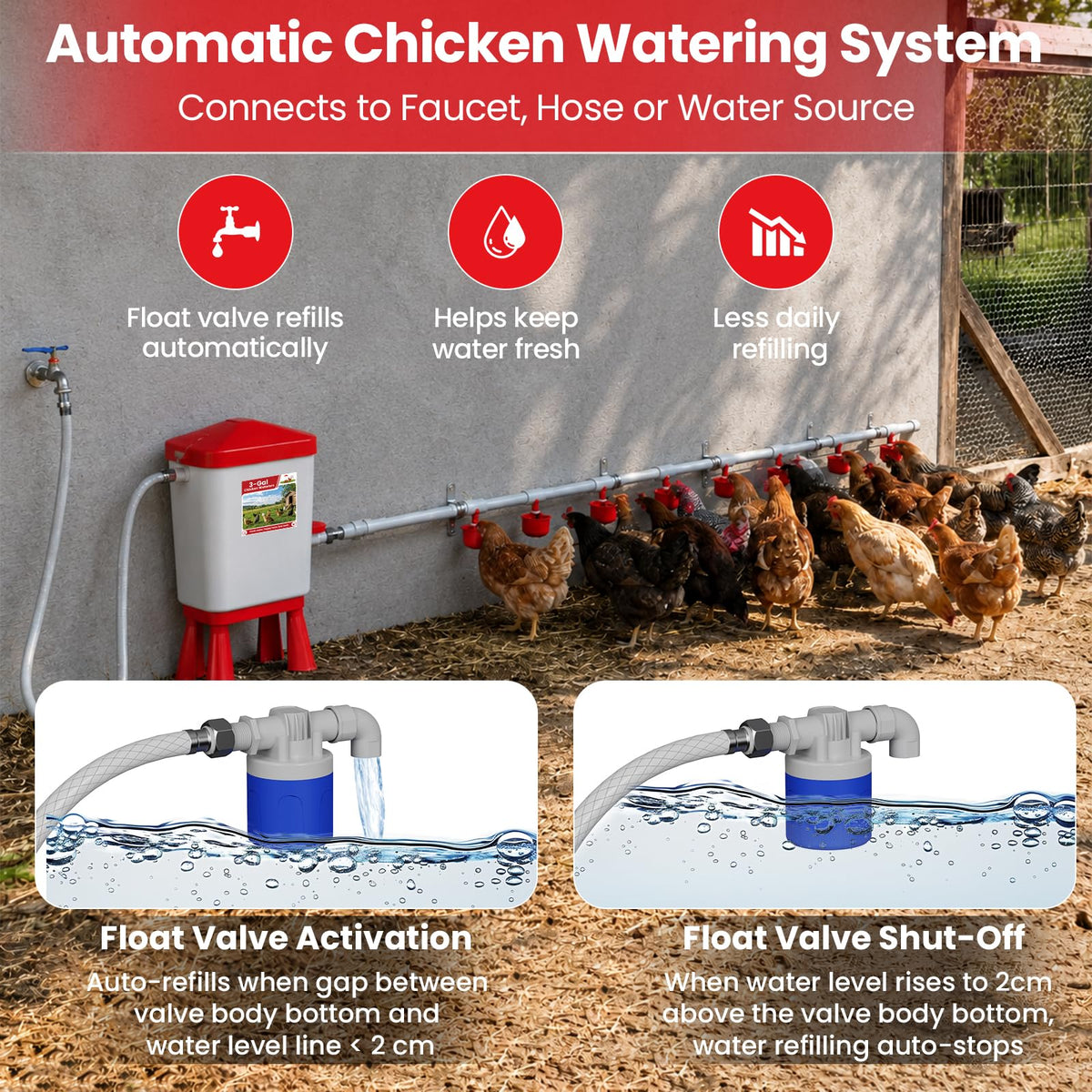 Automatic Chicken Waterer System with 8 Drinking Cups L65993