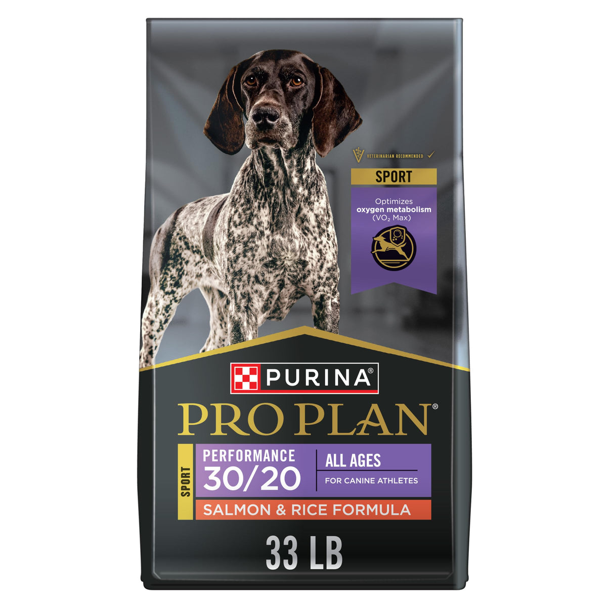Salmon High Protein Dry Dog Food H921173