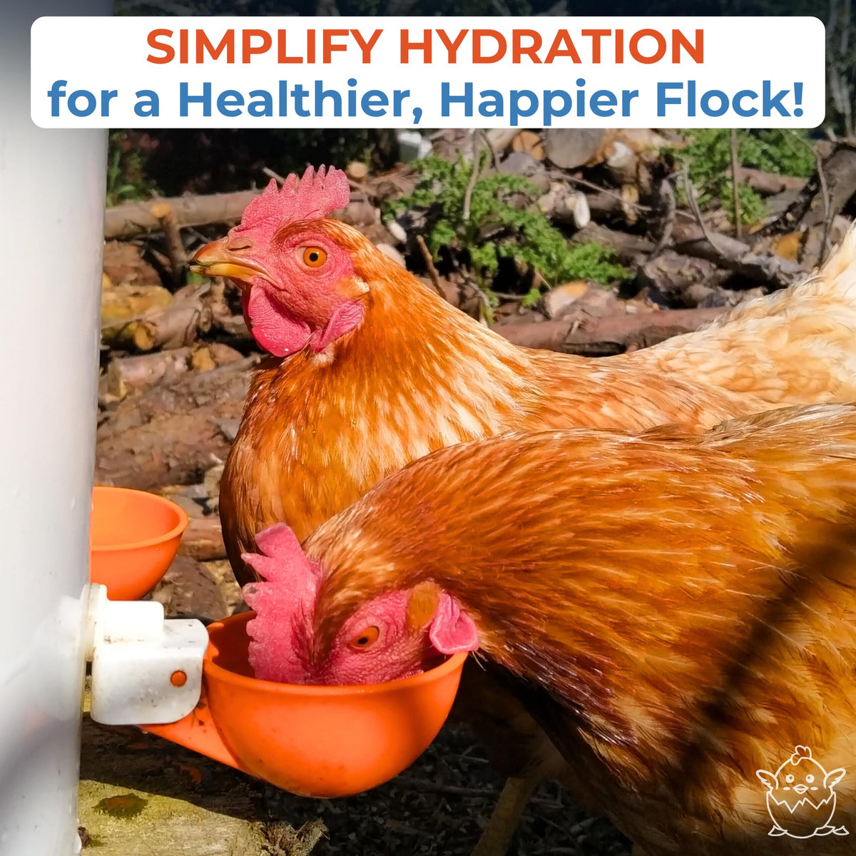 Large Automatic Chicken Waterer Cups 5-Pack Q443066