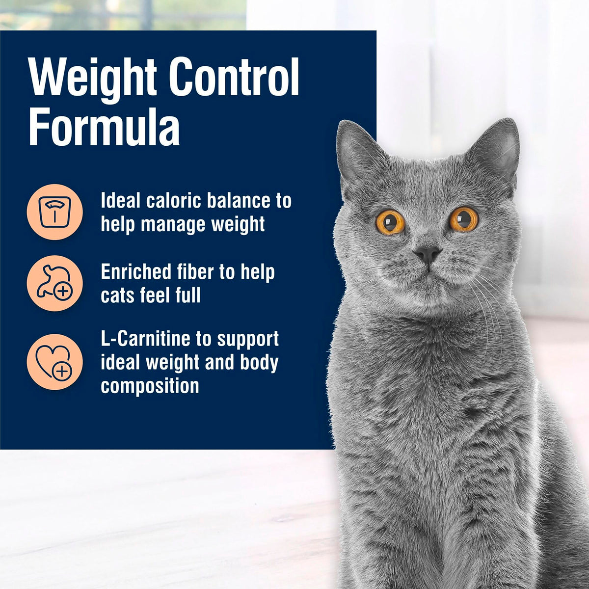 Weight Control Chicken Dry Cat Food, 11 lb R155