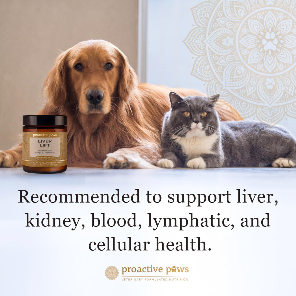 Dog & Cat Daily Detox F27257