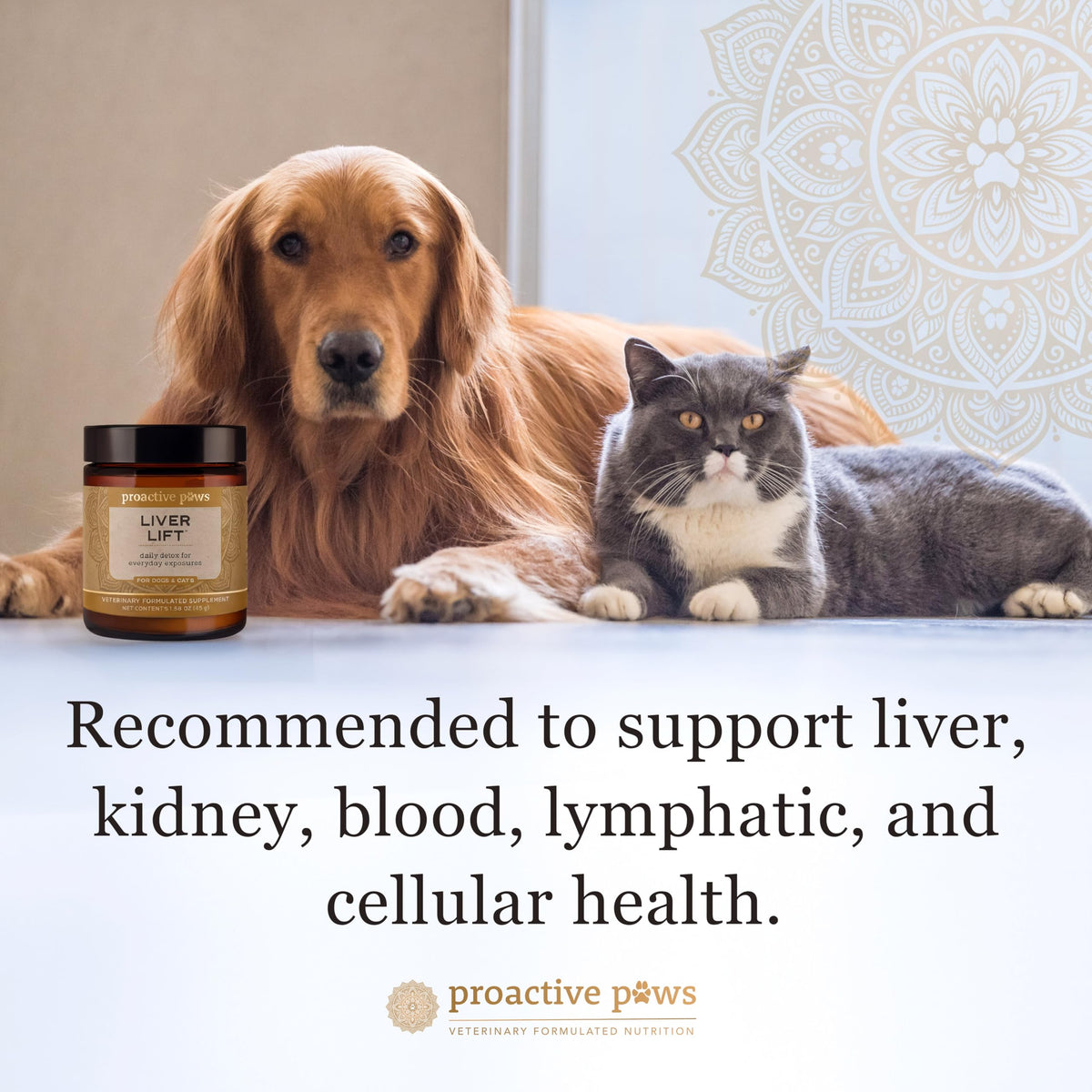 Dog & Cat Daily Detox F27257