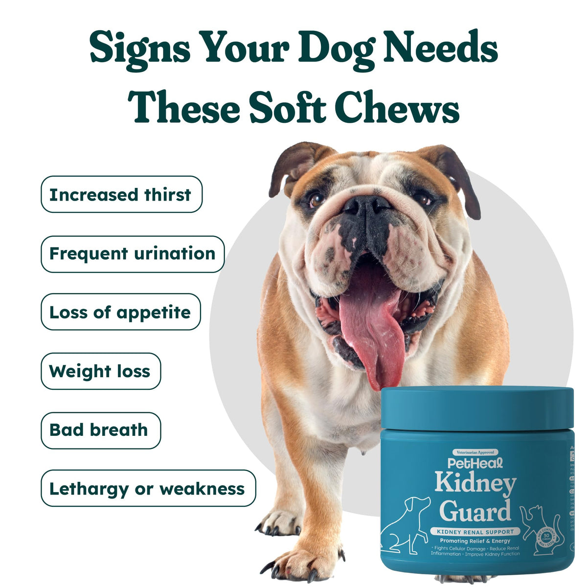 30 Soft Chews Pork Flavor Kidney Supplement for Dogs C302545