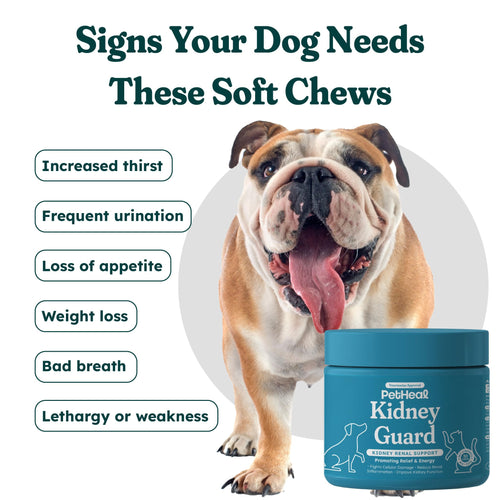 30 Soft Chews Pork Flavor Kidney Supplement for Dogs C302545