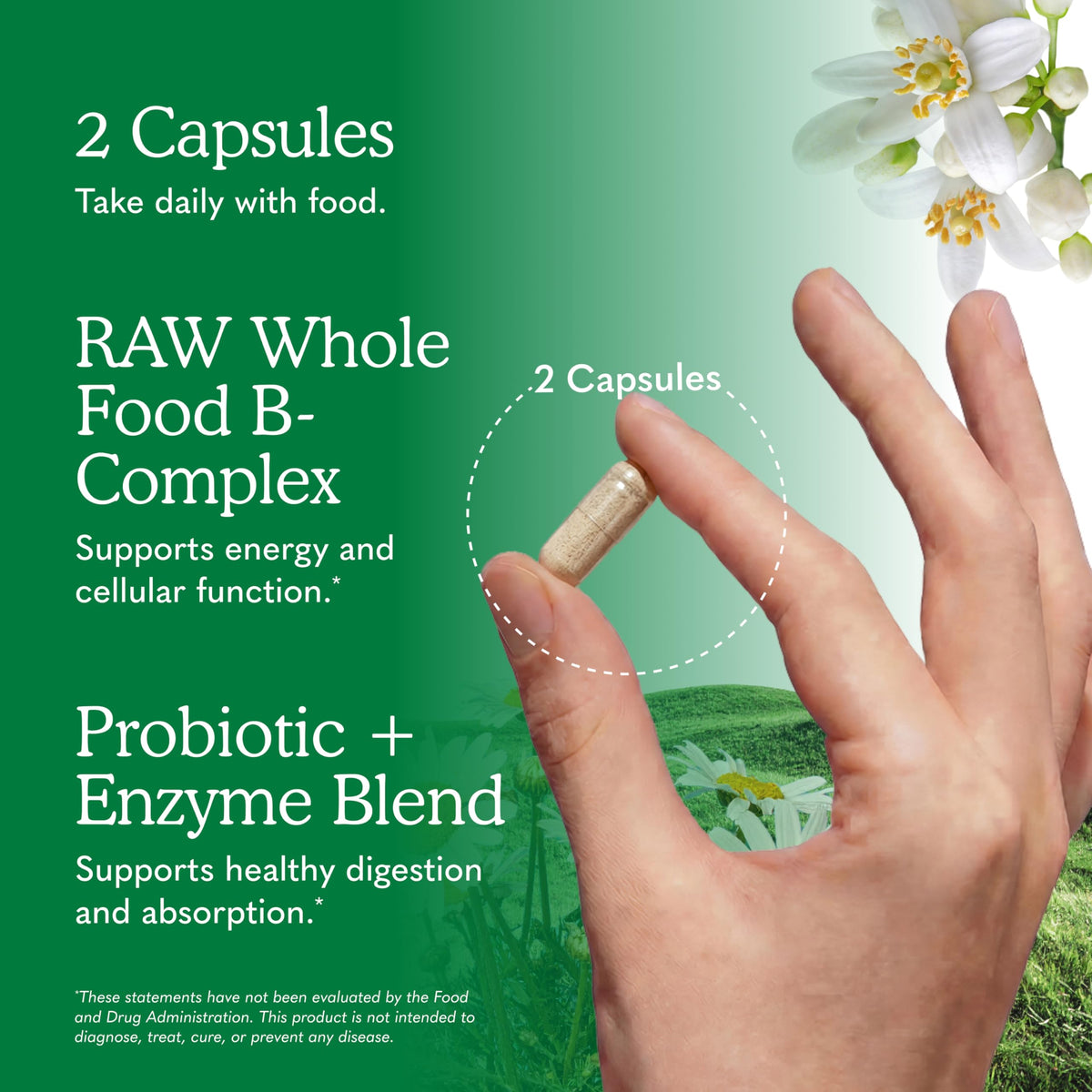 120 Vegan Capsules B-Complex I637