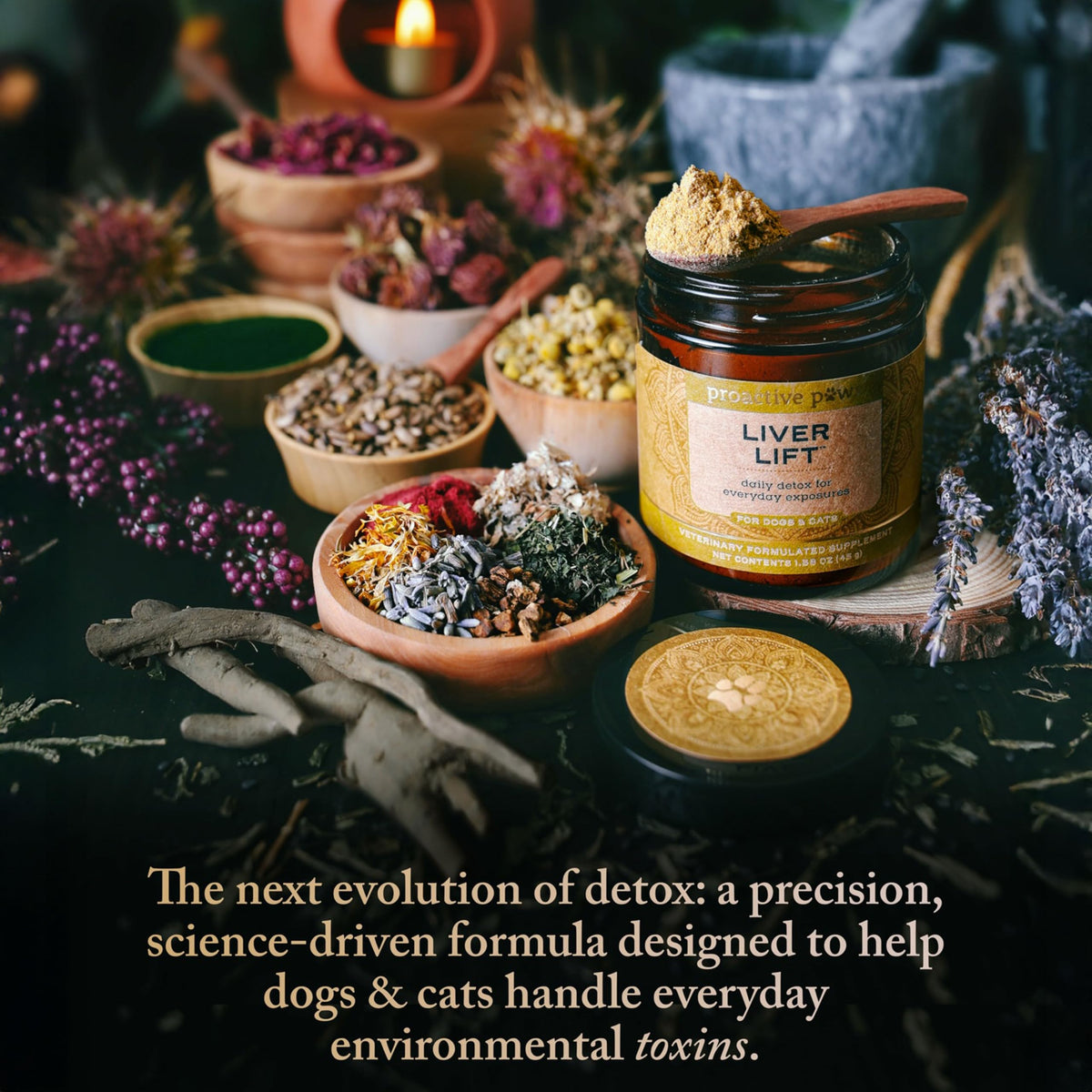 Dog & Cat Daily Detox F27257