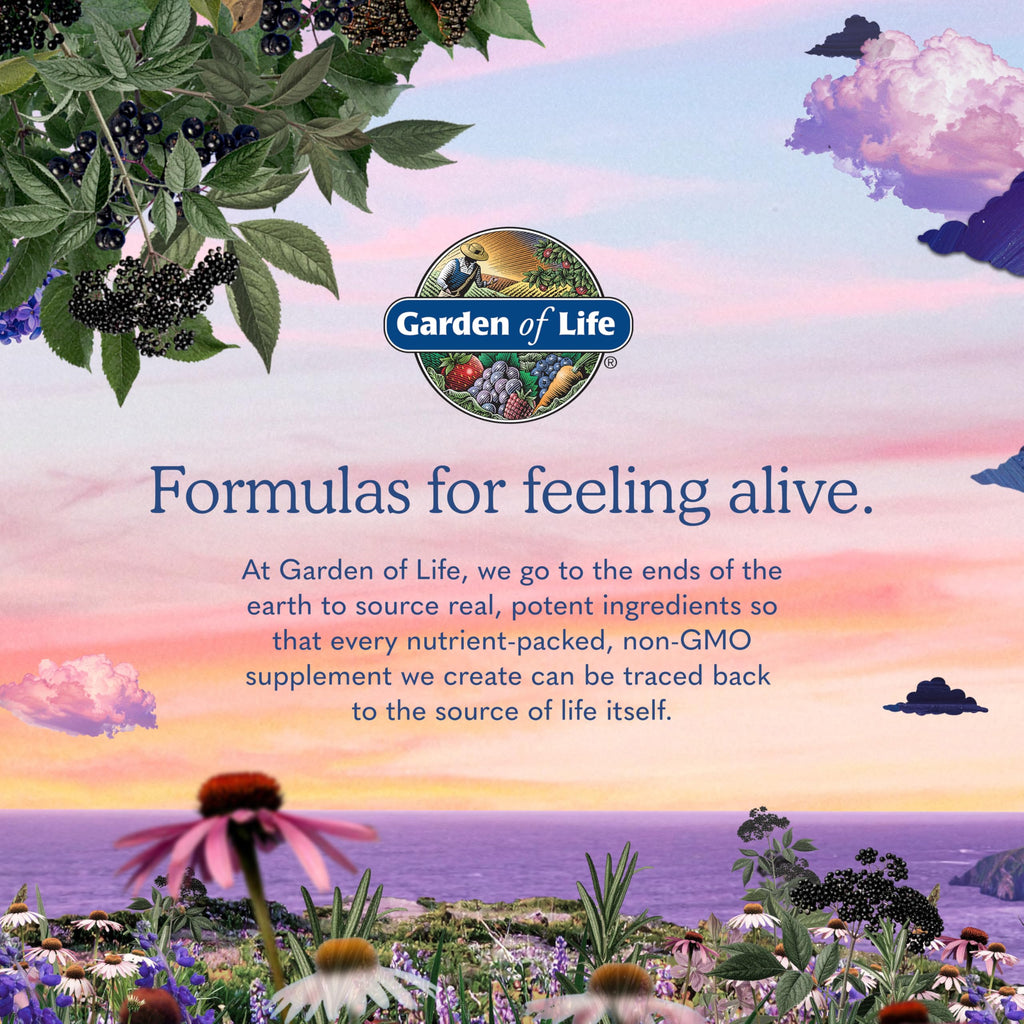 120 Vegan Capsules B-Complex I637