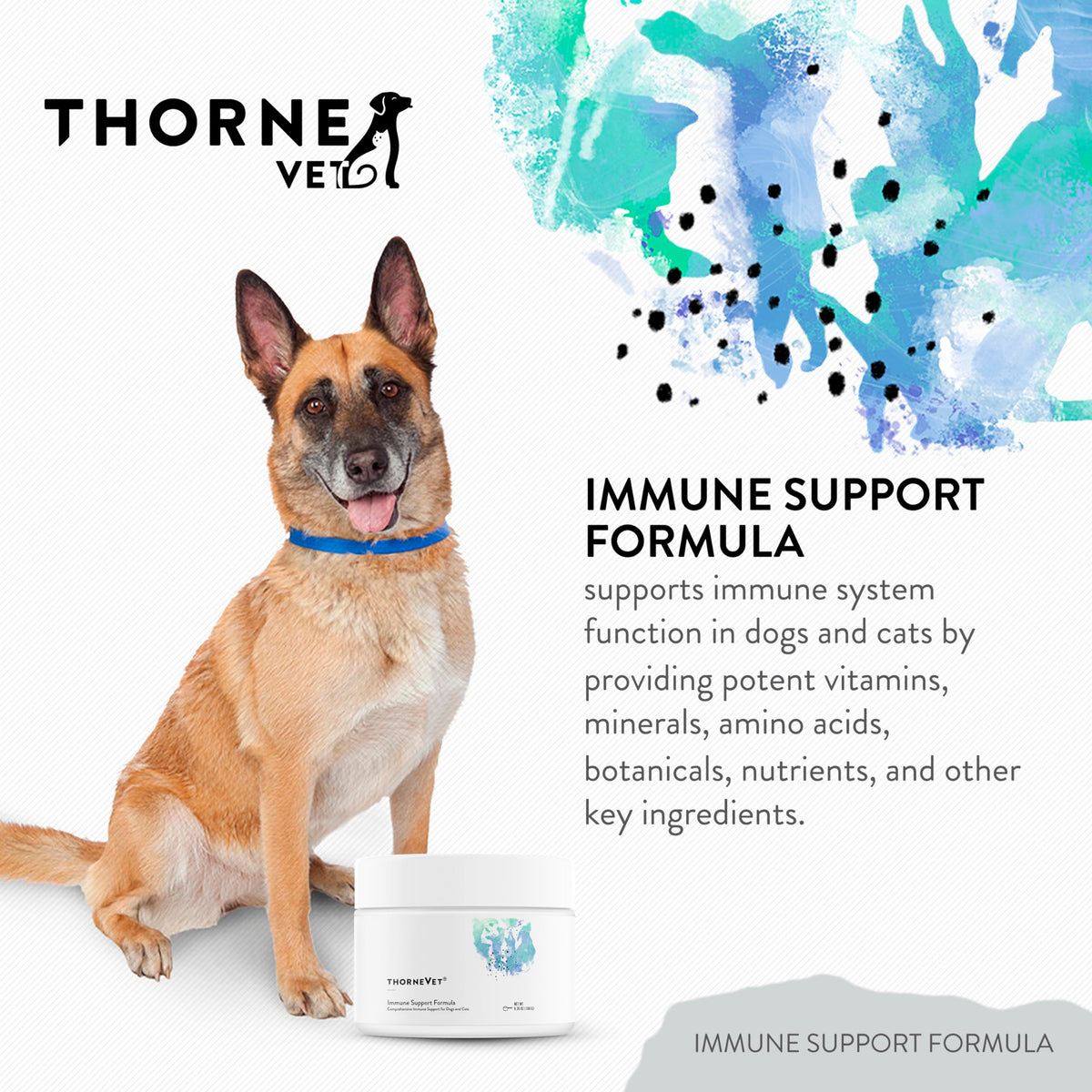 Immune Support Powder for Dogs & Cats, 90 Scoops C80750